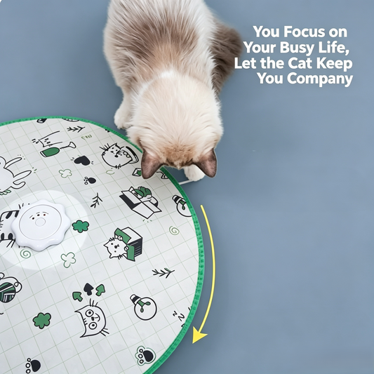 2‑in‑1 Automatic Interactive Cat Toy