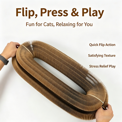 Transformable Interactive Cat Scratcher Toy