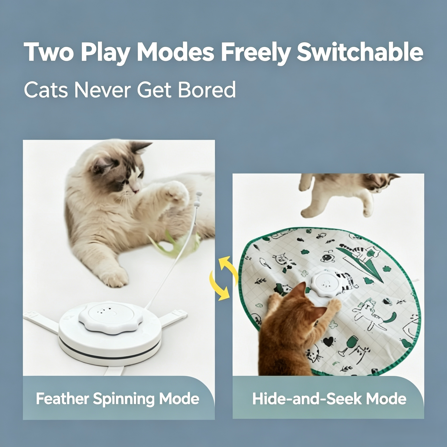 2‑in‑1 Automatic Interactive Cat Toy